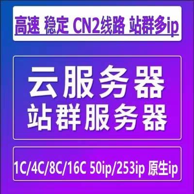 云服务器租用站群服务器cn2网站空间虚拟主机独立ip游戏搭建多段